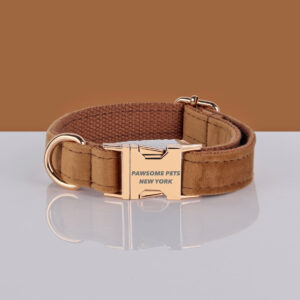 PAWSOME DOG COLLAR - #1
