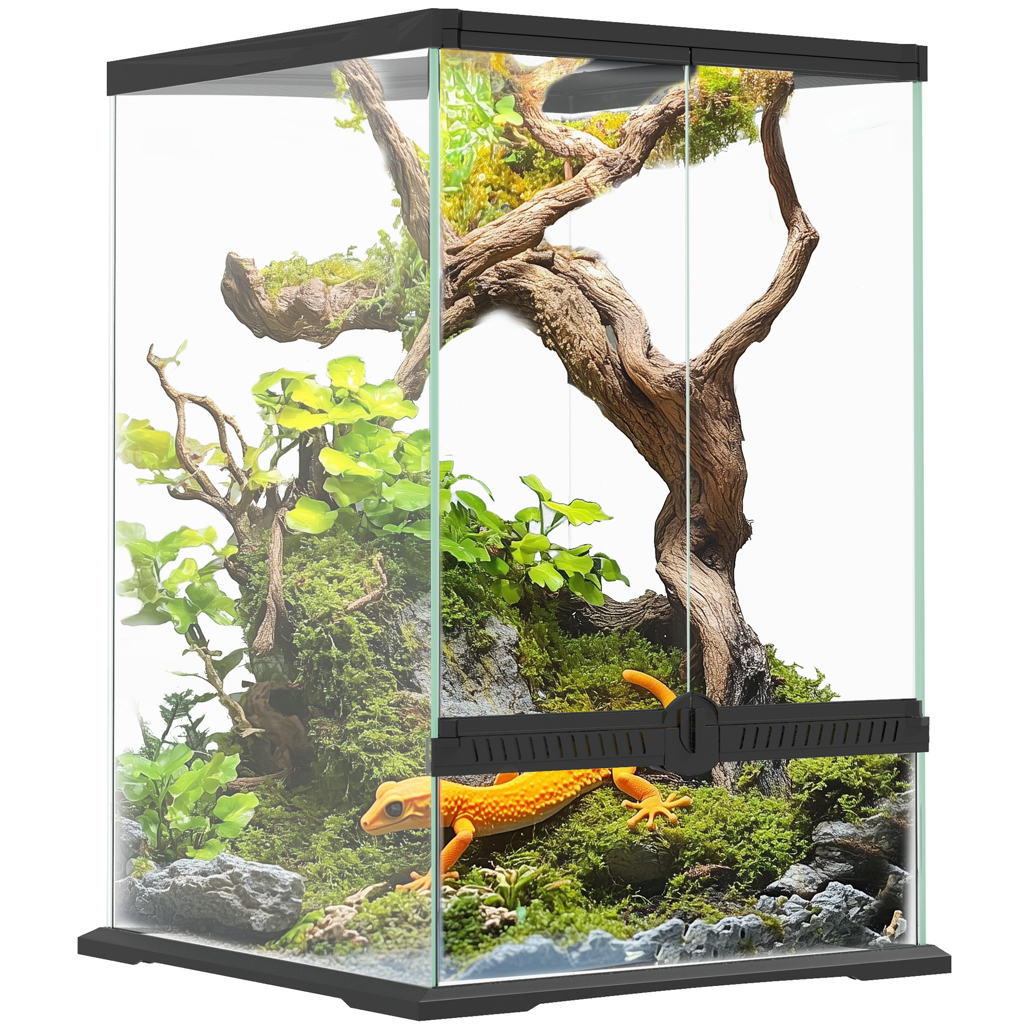 0c047b1d7ad2477cae917e2464e6ac562jpg Urban Pet Play Ltd | AwardWinning Pet Care Pet Shop