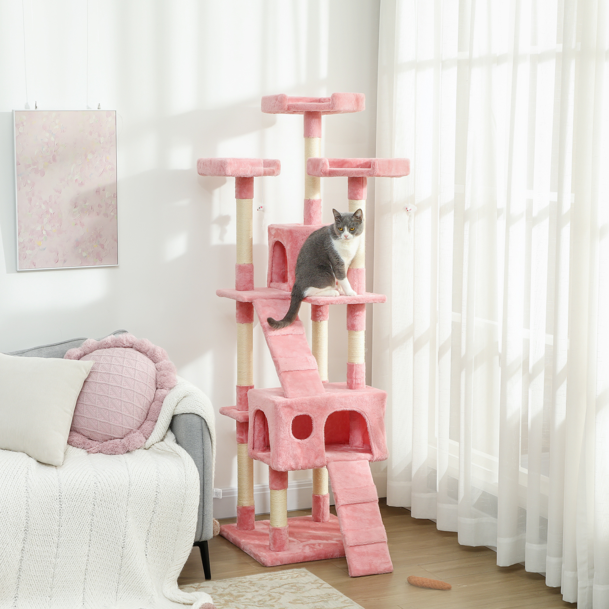 107cb0848b2d417e964ff722f3ab1e02jpg Urban Pet Play Ltd | AwardWinning Pet Care Pet Shop