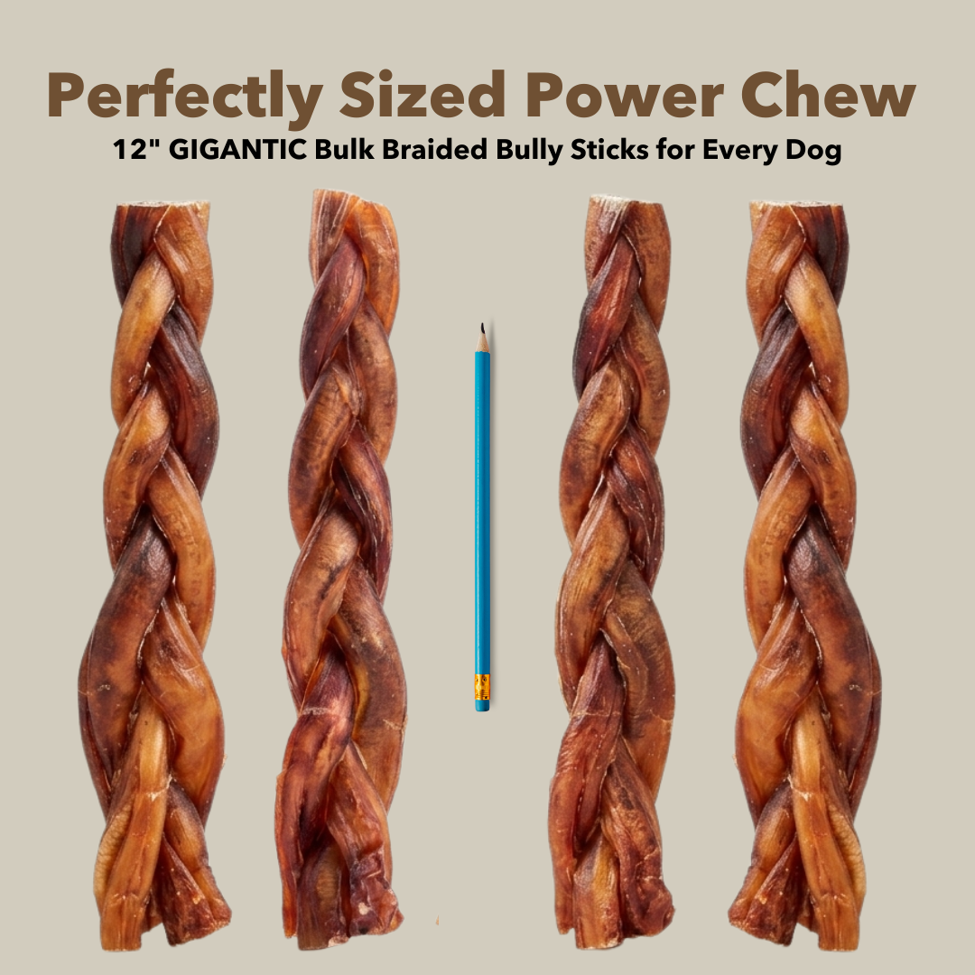 12GIGBRDPencilpng Urban Pet Play Ltd | AwardWinning Pet Care Pet Shop