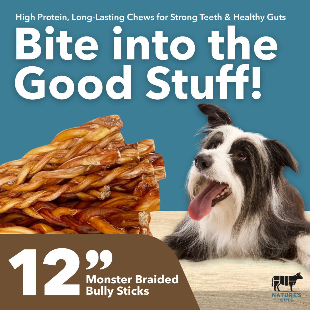 12monbrdpilepng Urban Pet Play Ltd | AwardWinning Pet Care Pet Shop