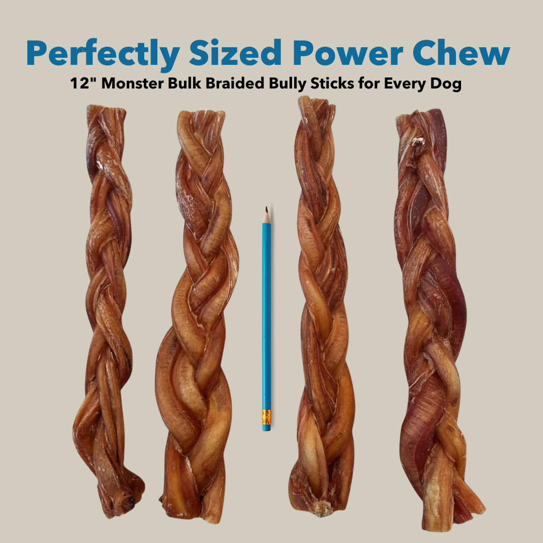 12monsterbraidedpencilpng Urban Pet Play Ltd | AwardWinning Pet Care Pet Shop