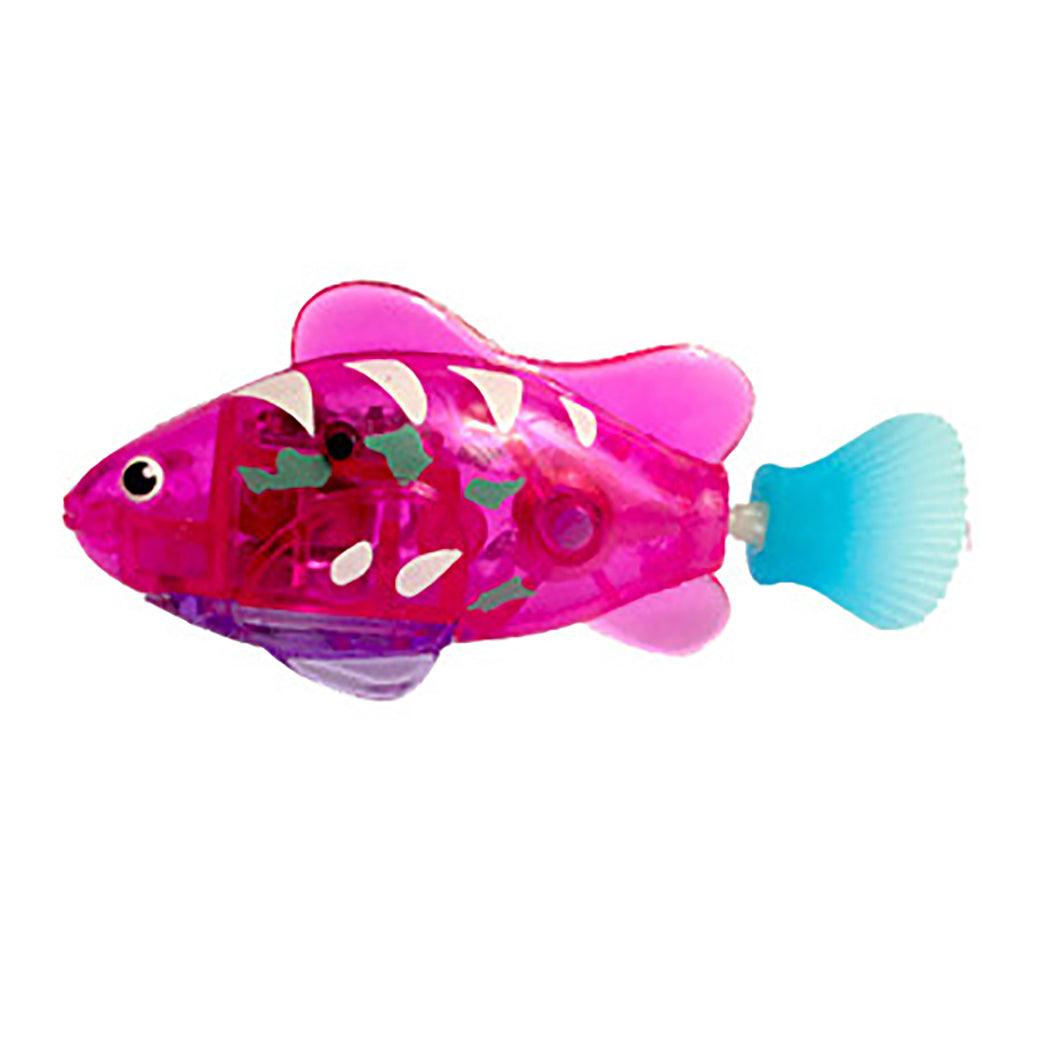 161026872172321jpg Urban Pet Play Ltd | AwardWinning Pet Care Pet Shop