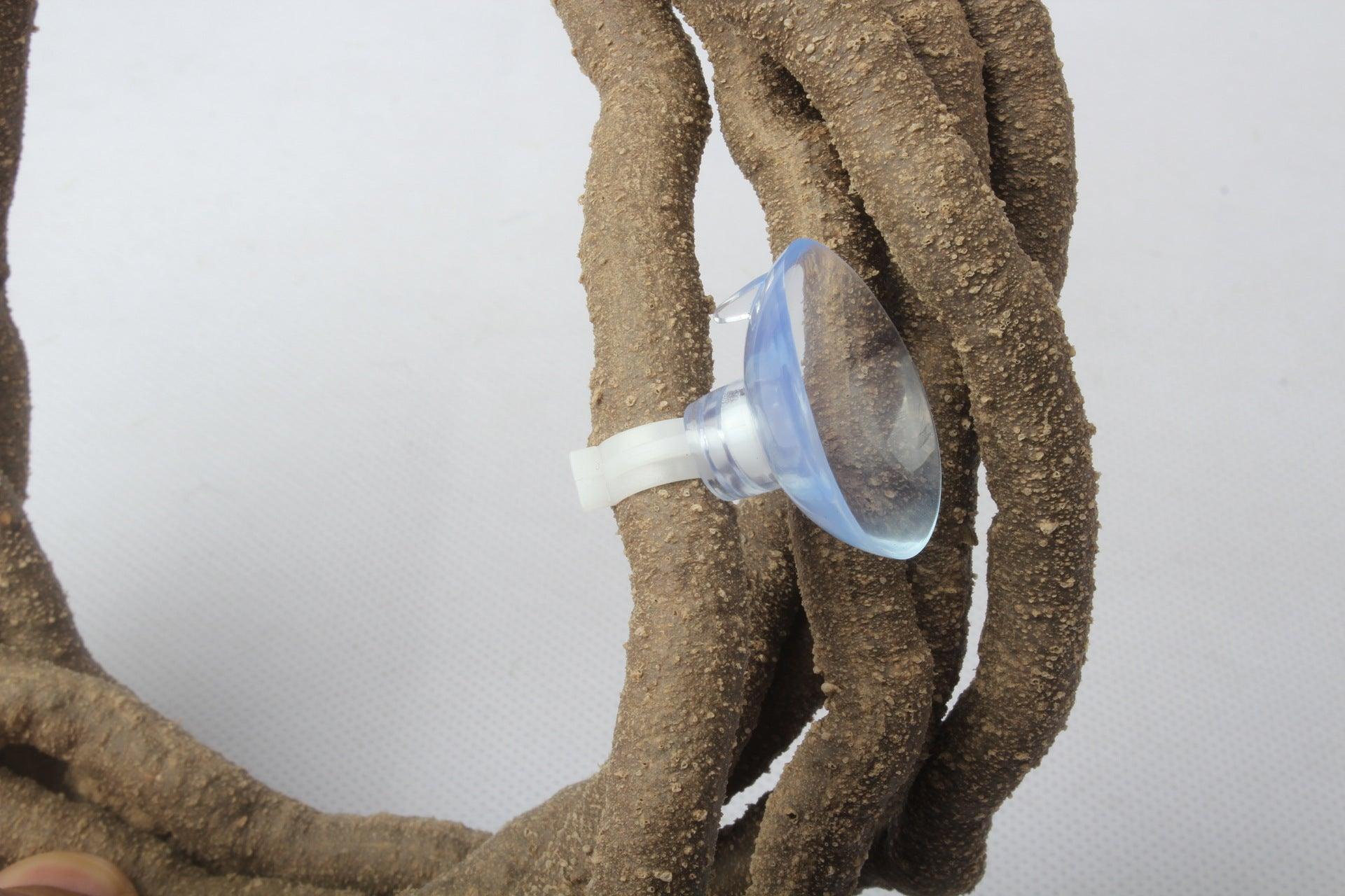 16175152010441jpg Urban Pet Play Ltd | AwardWinning Pet Care Pet Shop