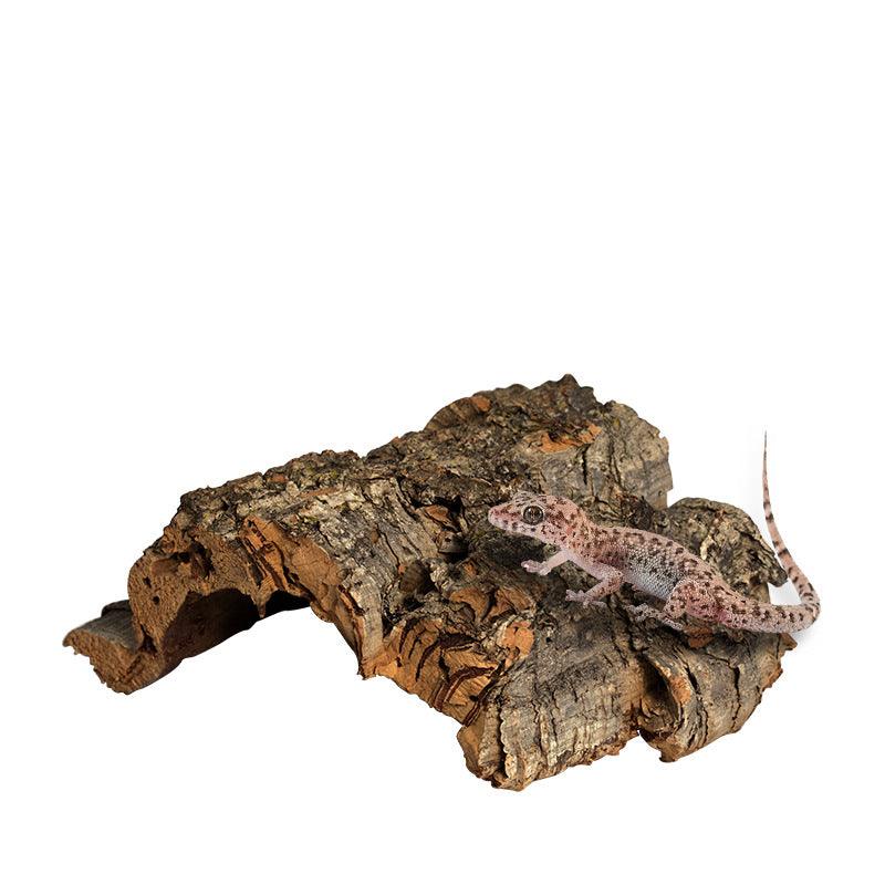 1617609353436jpg Urban Pet Play Ltd | AwardWinning Pet Care Pet Shop