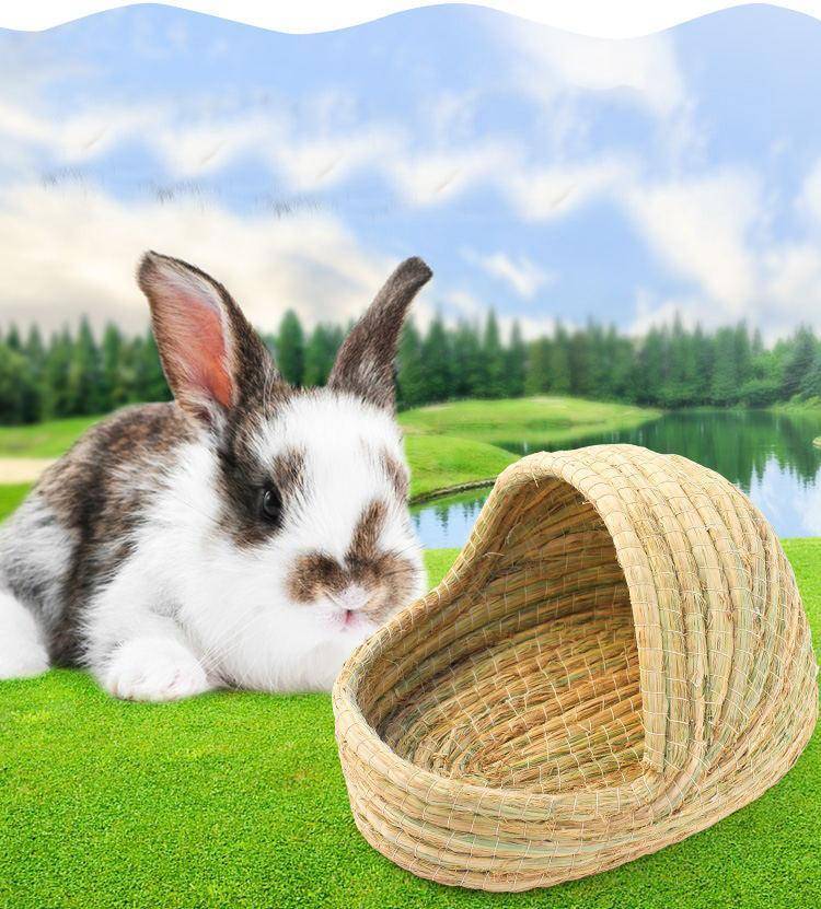 1798847682872jpg Urban Pet Play Ltd | AwardWinning Pet Care Pet Shop