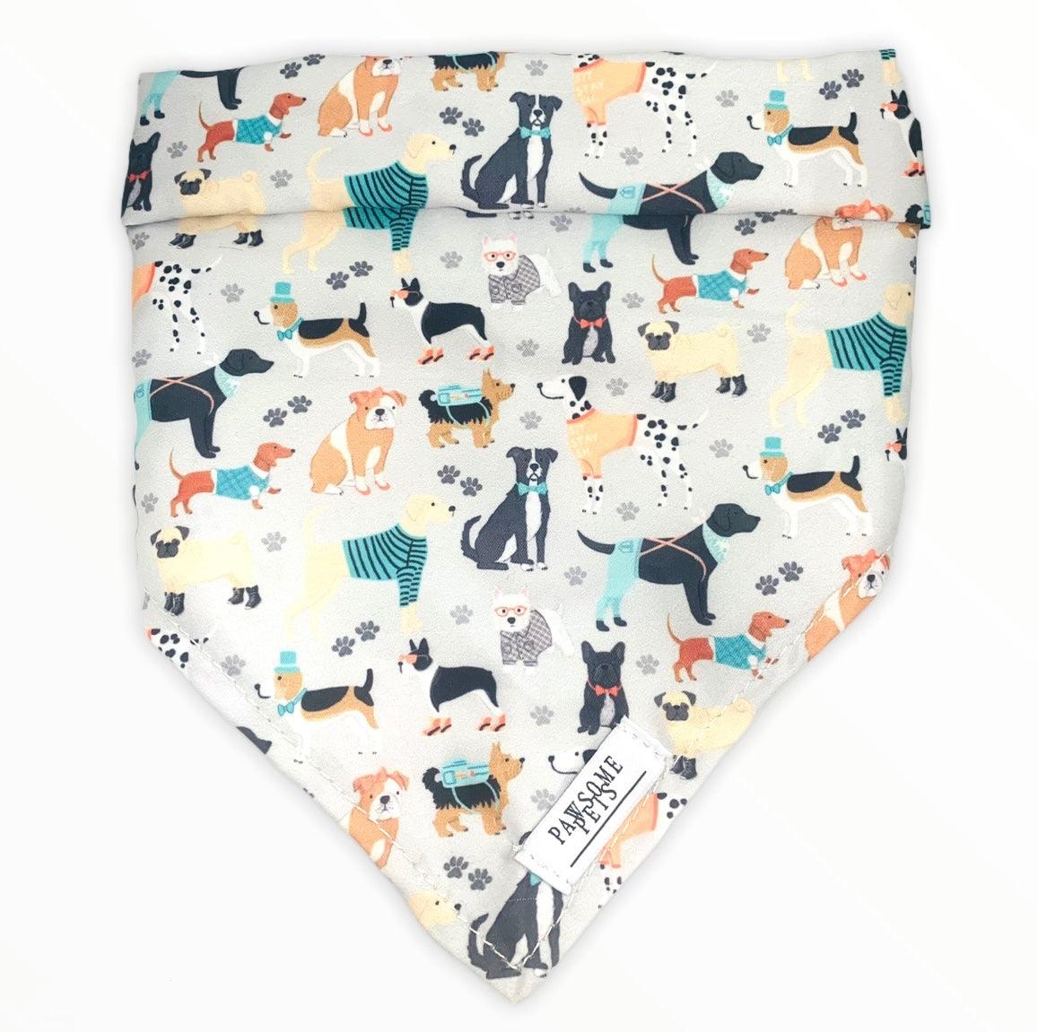 19711619658029pichdjpg Urban Pet Play Ltd | AwardWinning Pet Care Pet Shop