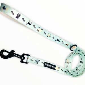 LEASH - DAPPER DOGGY