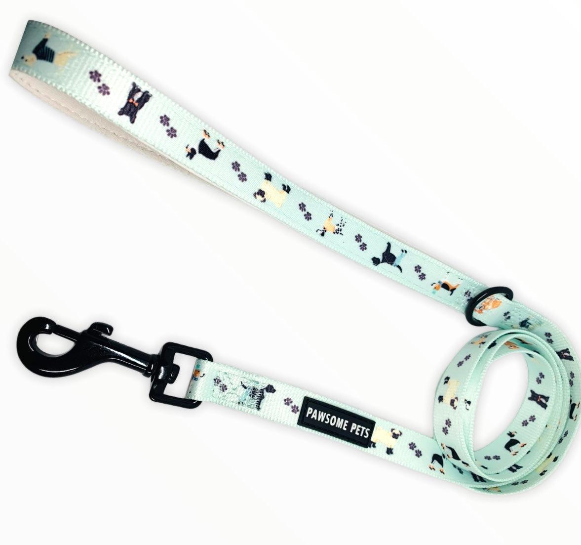 19731619658031pichdd17e654f3cbf40a88ff2033601439b49jpg Urban Pet Play Ltd | AwardWinning Pet Care Pet Shop