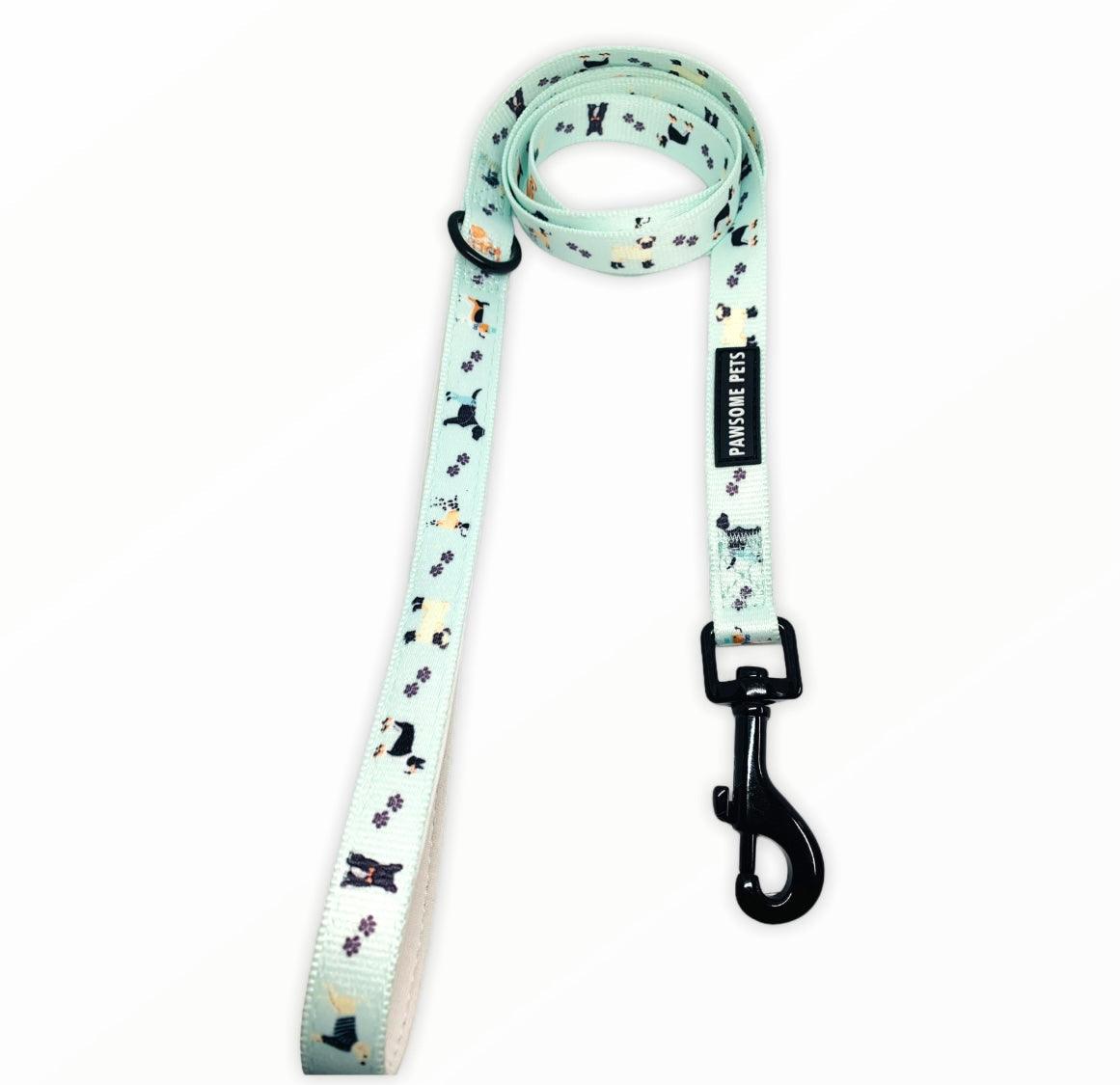 19741619658032pichdjpg Urban Pet Play Ltd | AwardWinning Pet Care Pet Shop
