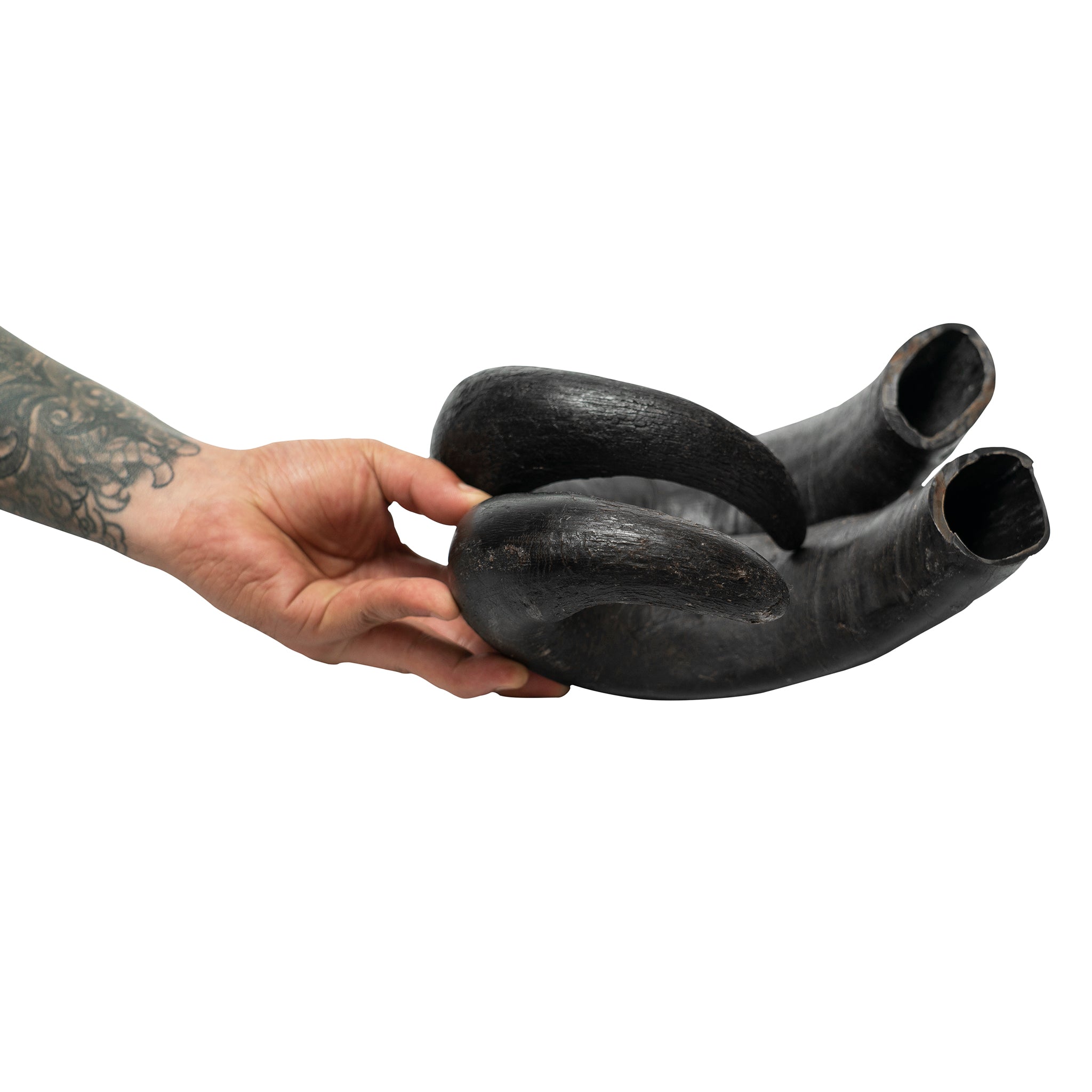 1bc2fec9028c64628ab1f929ae65ee334jpg Urban Pet Play Ltd | AwardWinning Pet Care Pet Shop