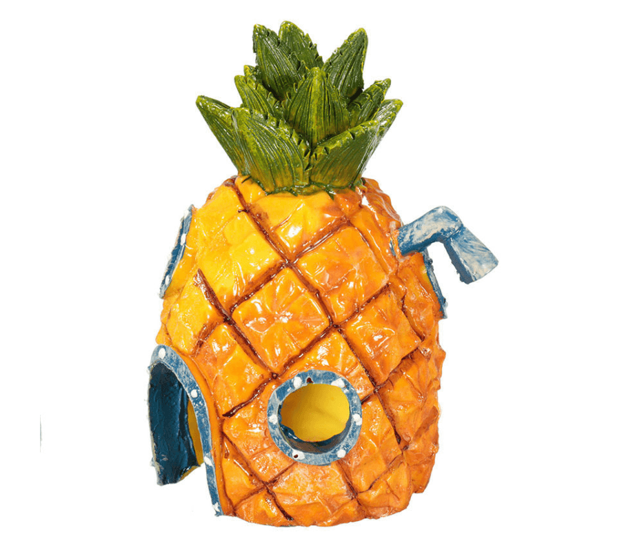 2105092953023png Urban Pet Play Ltd | AwardWinning Pet Care Pet Shop