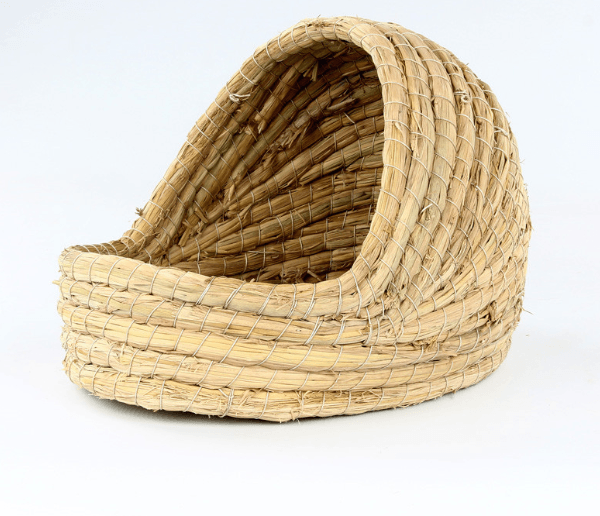 2221847469988png Urban Pet Play Ltd | AwardWinning Pet Care Pet Shop