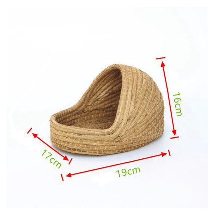 2241114634772png Urban Pet Play Ltd | AwardWinning Pet Care Pet Shop