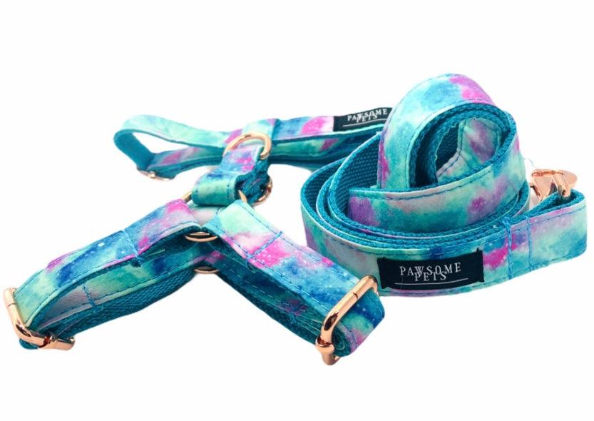 22501620938387pichd088073e797ad49edbabfb156482652a7jpg Urban Pet Play Ltd | AwardWinning Pet Care Pet Shop