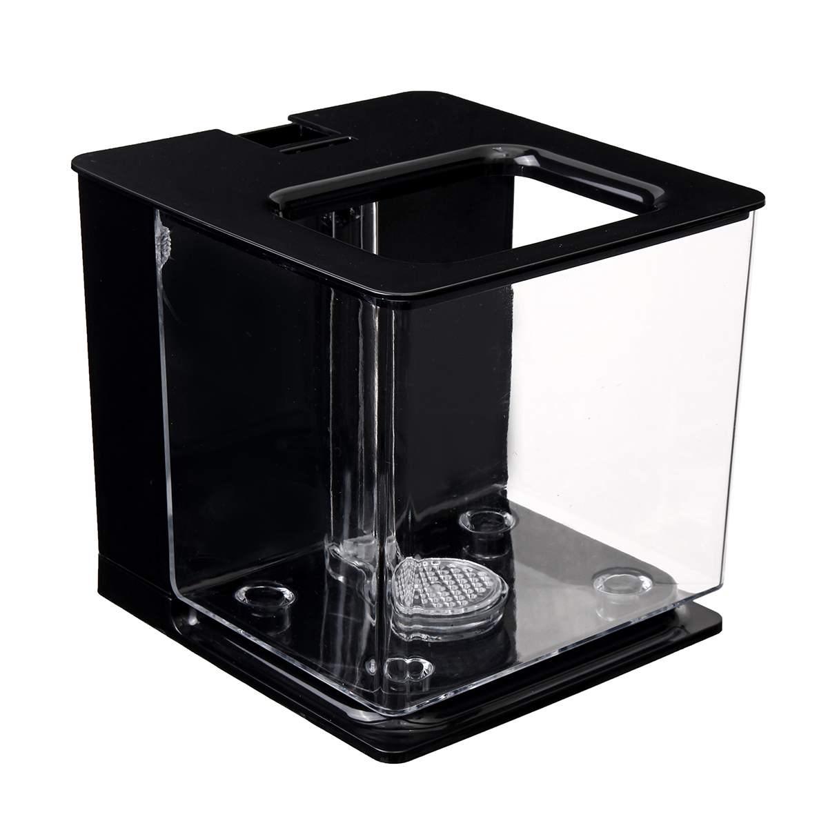 2531065315246jpg Urban Pet Play Ltd | AwardWinning Pet Care Pet Shop