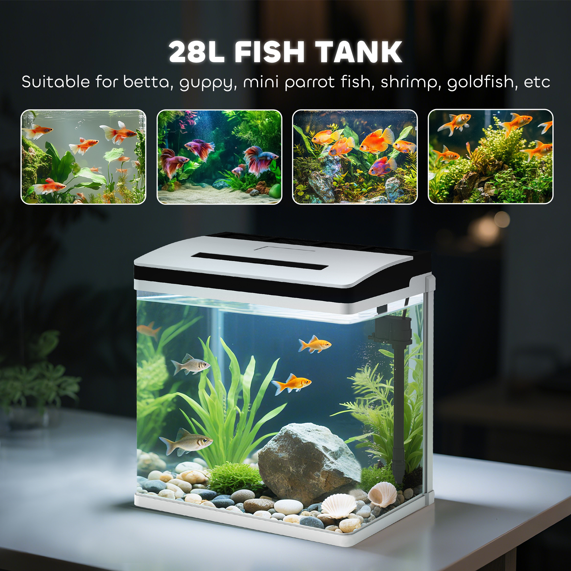 2ce508b38e3a49c183f3850eb5fe2239jpg Urban Pet Play Ltd | AwardWinning Pet Care Pet Shop