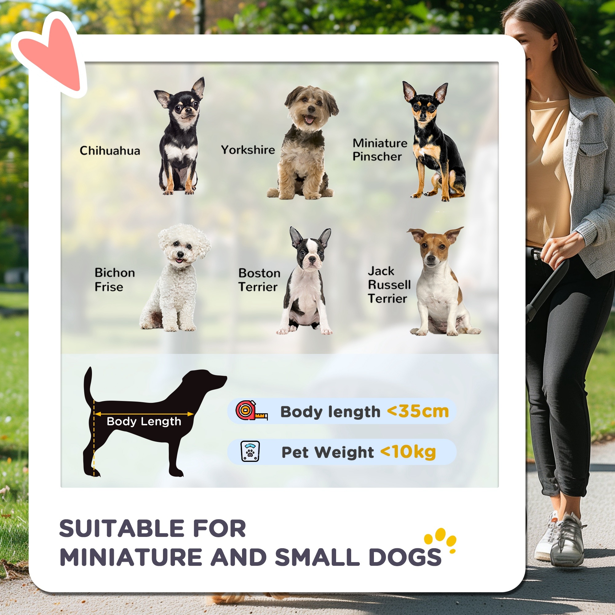 3560099467e94e058ab025eedd1c78d1jpg Urban Pet Play Ltd | AwardWinning Pet Care Pet Shop