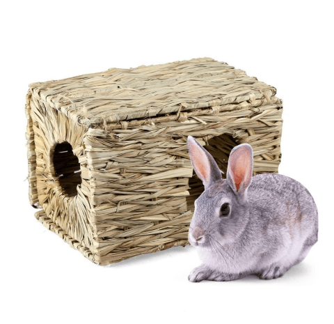 394198577396png Urban Pet Play Ltd | AwardWinning Pet Care Pet Shop