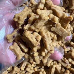 Pumpkin & Cranberry Soft Dog Treats | Made in USA