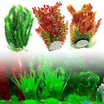 41280245451798148263400x400jpg Urban Pet Play Ltd | AwardWinning Pet Care Pet Shop