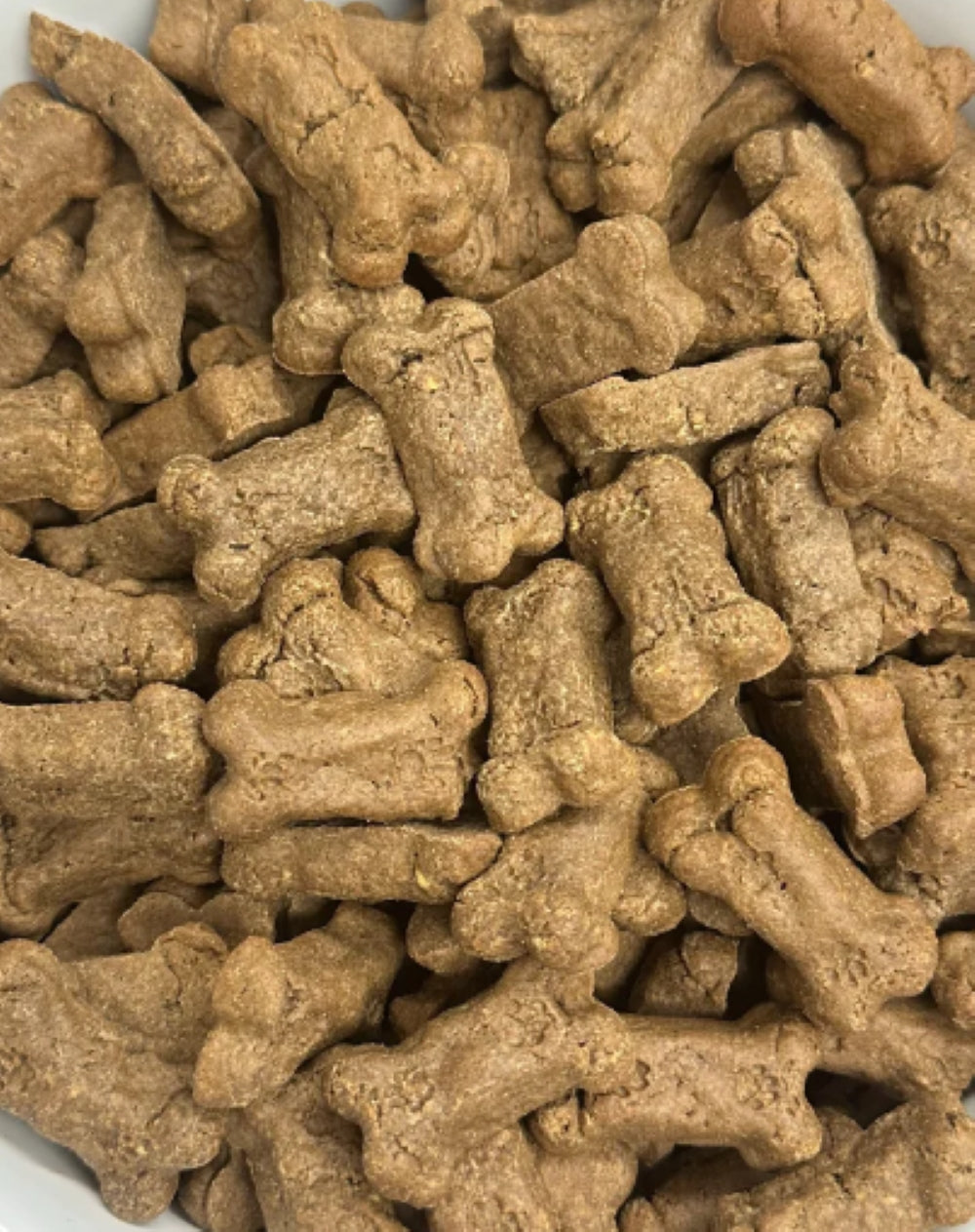 41f49b765daba1fa67d2aa29f64141980e0eaf9c921fb4mv2jpg Urban Pet Play Ltd | AwardWinning Pet Care Pet Shop