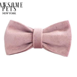 BOWTIE - FLORENCE