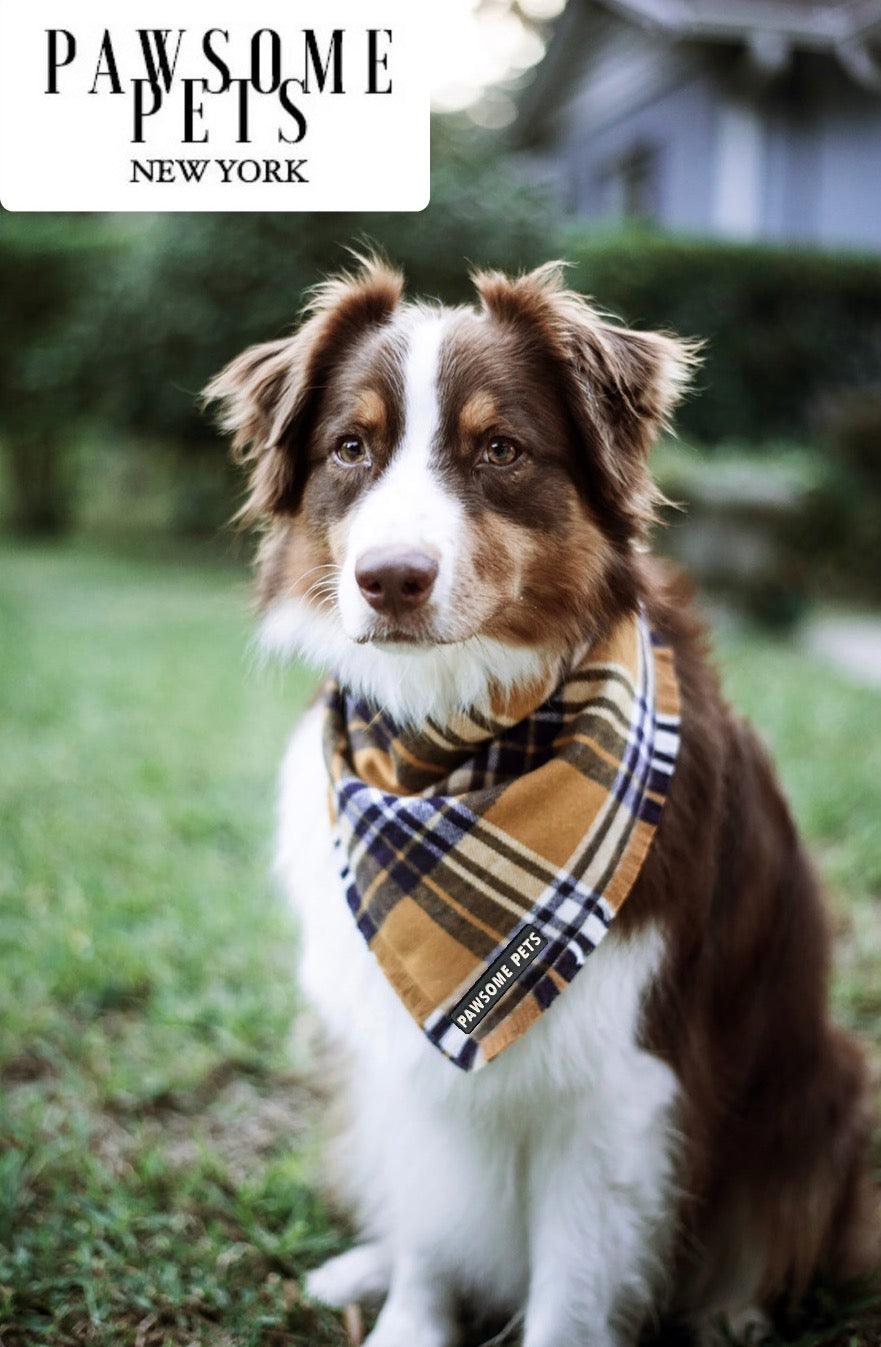 44101676328069picjpg Urban Pet Play Ltd | AwardWinning Pet Care Pet Shop