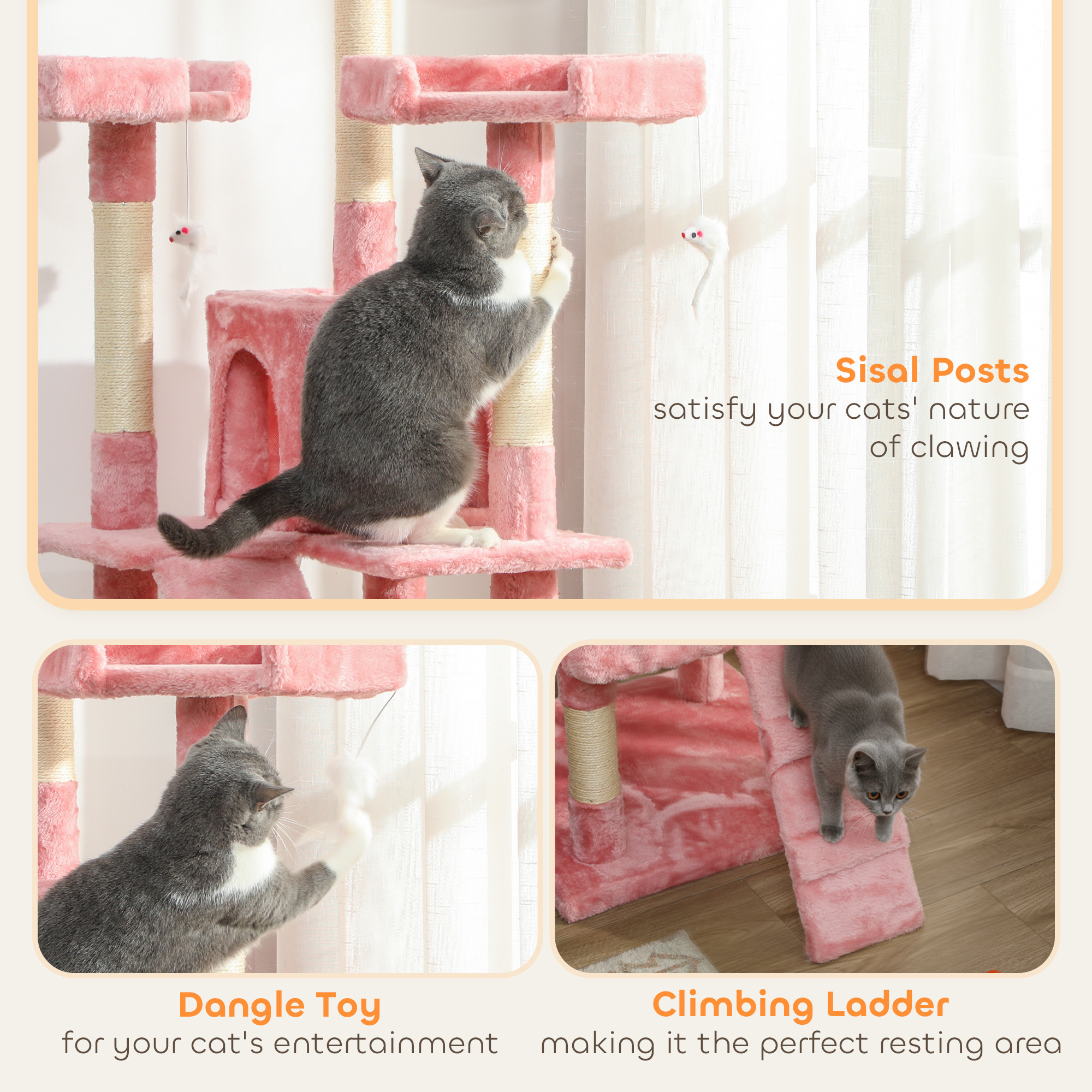 44fd0cfdafd145c4ae4c2dde4207acbajpg Urban Pet Play Ltd | AwardWinning Pet Care Pet Shop