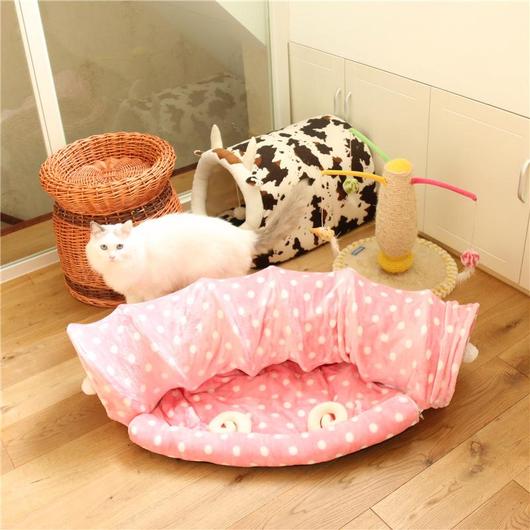 4741596577834picjpg Urban Pet Play Ltd | AwardWinning Pet Care Pet Shop