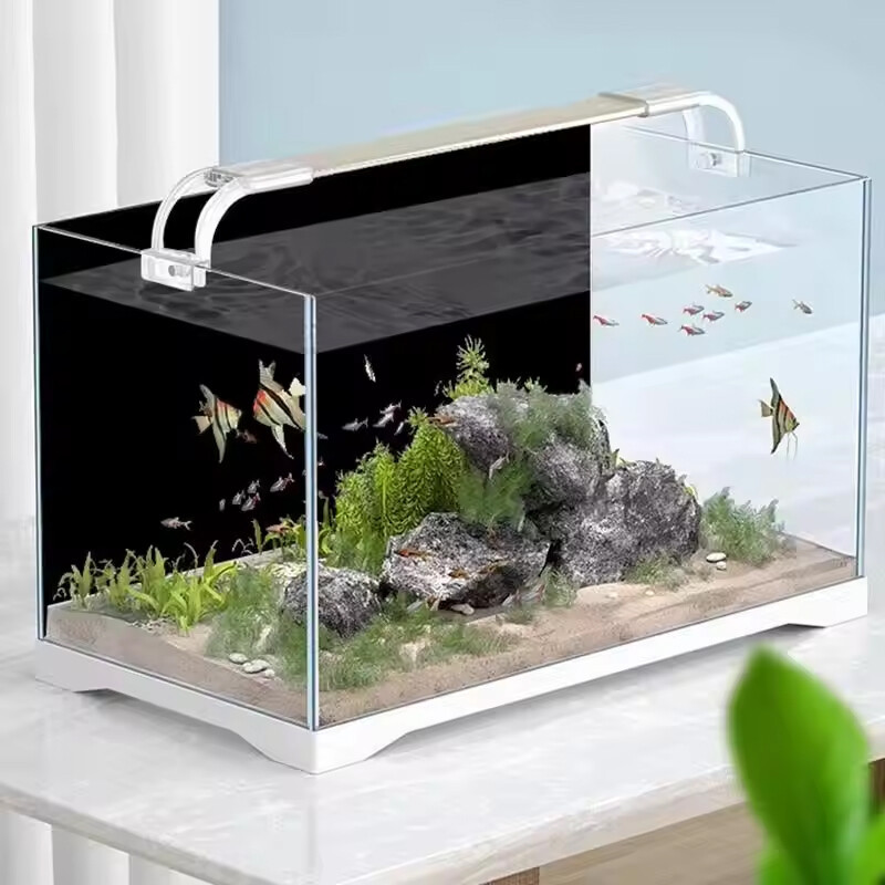 48f201e462e4481bb4184133bc2d34bbjpg Urban Pet Play Ltd | AwardWinning Pet Care Pet Shop