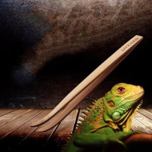 Pet Reptile Bamboo Tweezers Set - Essential Feeding Tools For Crawling Pets