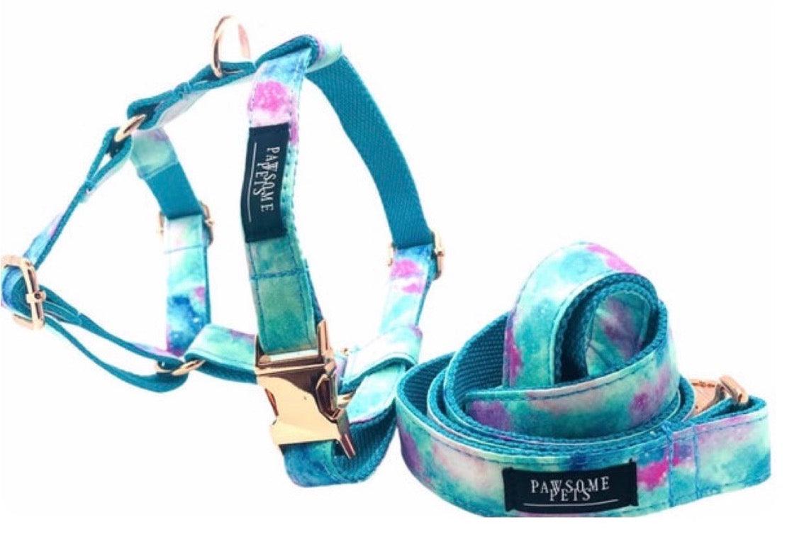50781677273459picjpg Urban Pet Play Ltd | AwardWinning Pet Care Pet Shop