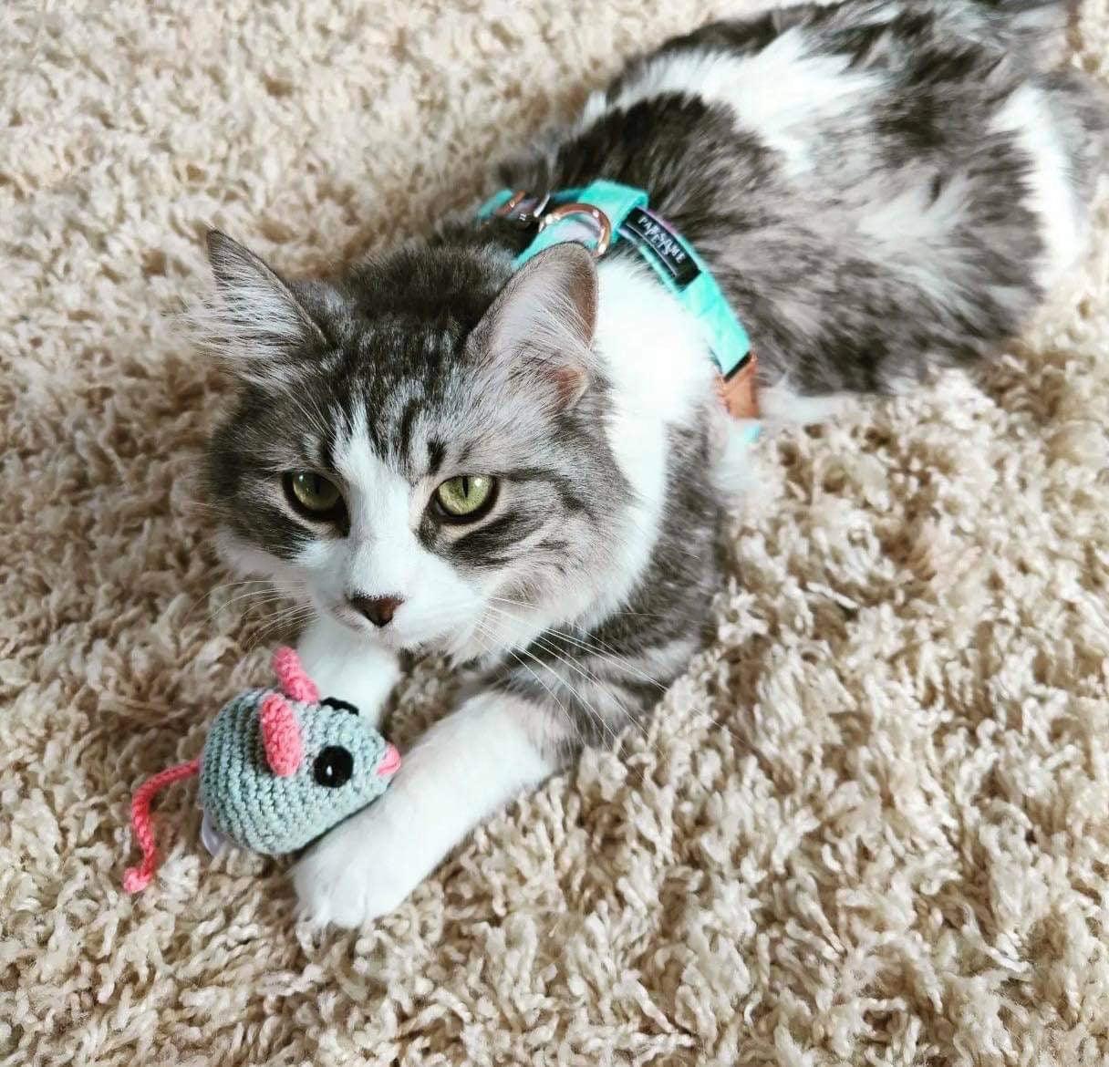 50801677273548picjpg Urban Pet Play Ltd | AwardWinning Pet Care Pet Shop