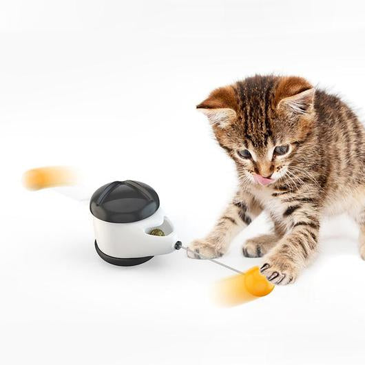 5081596583423picf8ab36cb761742c9aeb2119d62d9d091jpg Urban Pet Play Ltd | AwardWinning Pet Care Pet Shop