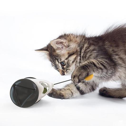 5091596583424picjpg Urban Pet Play Ltd | AwardWinning Pet Care Pet Shop