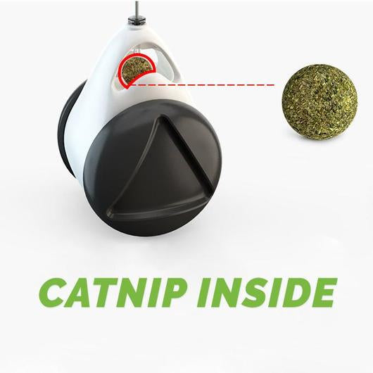 5101596583425pic8dcddd5b510c4d878bc73eefba08ac42jpg Urban Pet Play Ltd | AwardWinning Pet Care Pet Shop