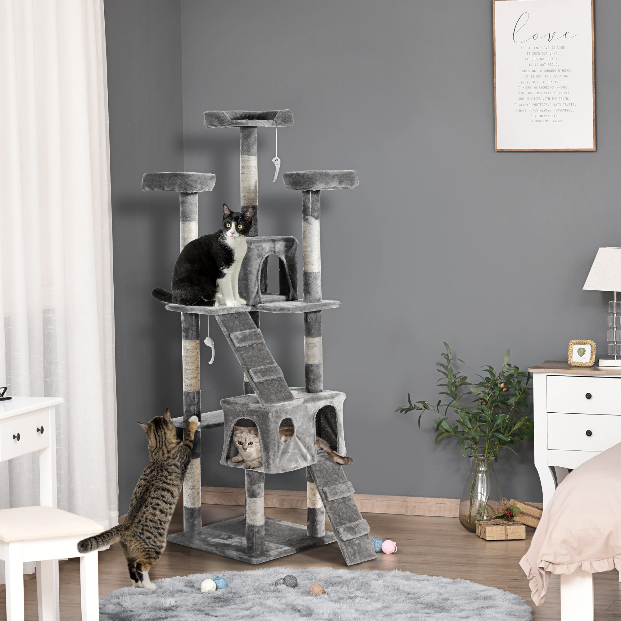 5471abd933074cdf83ebda551de9f74ajpg Urban Pet Play Ltd | AwardWinning Pet Care Pet Shop