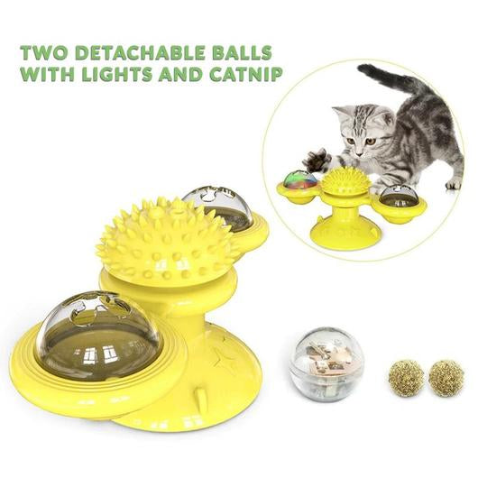5481596592154picjpg Urban Pet Play Ltd | AwardWinning Pet Care Pet Shop