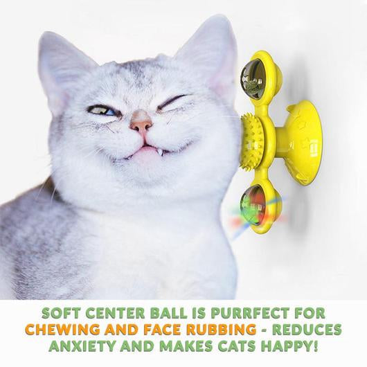 5491596592155picjpg Urban Pet Play Ltd | AwardWinning Pet Care Pet Shop