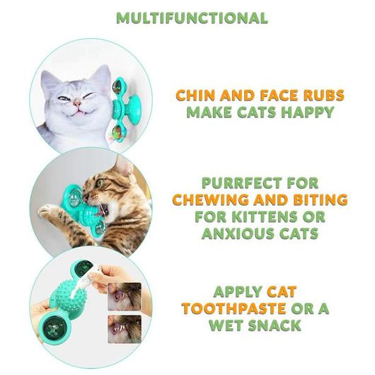 5501596592155picjpg Urban Pet Play Ltd | AwardWinning Pet Care Pet Shop
