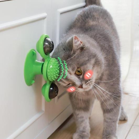 5511596592162picjpg Urban Pet Play Ltd | AwardWinning Pet Care Pet Shop