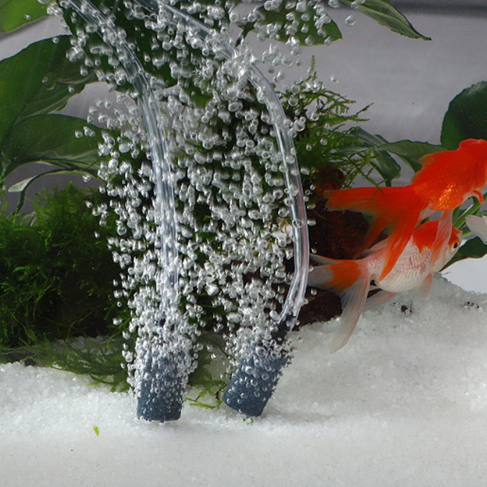 55c55185a2524c55b1d78560d479b4d3jpg Urban Pet Play Ltd | AwardWinning Pet Care Pet Shop