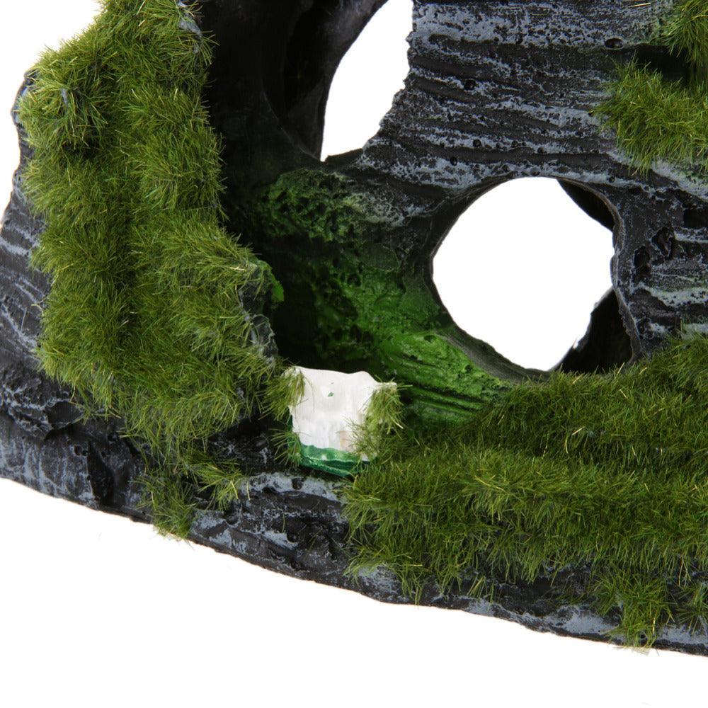 5845949765442jpg Urban Pet Play Ltd | AwardWinning Pet Care Pet Shop