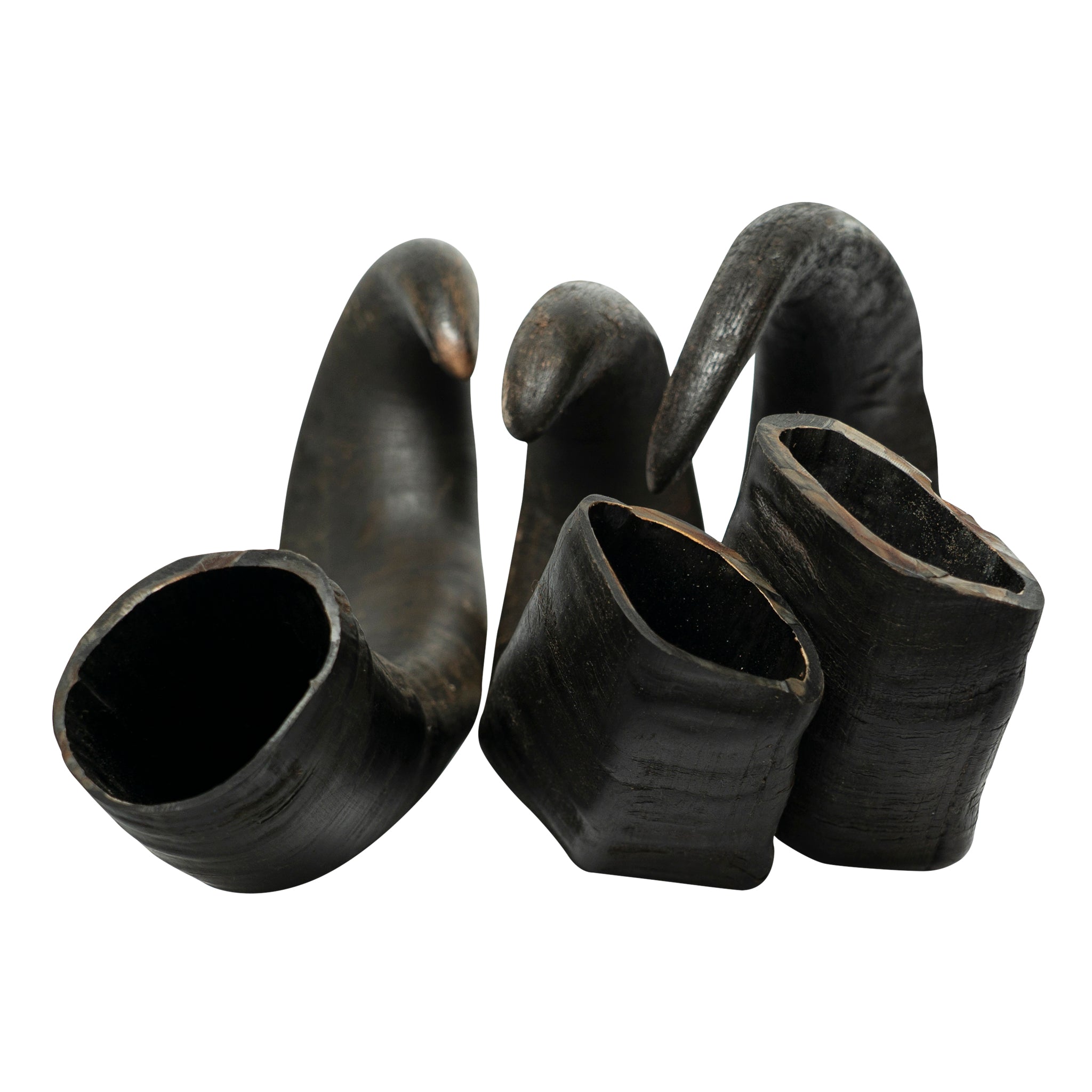 584029d55aa044ec5a0203b740d51e585jpg Urban Pet Play Ltd | AwardWinning Pet Care Pet Shop