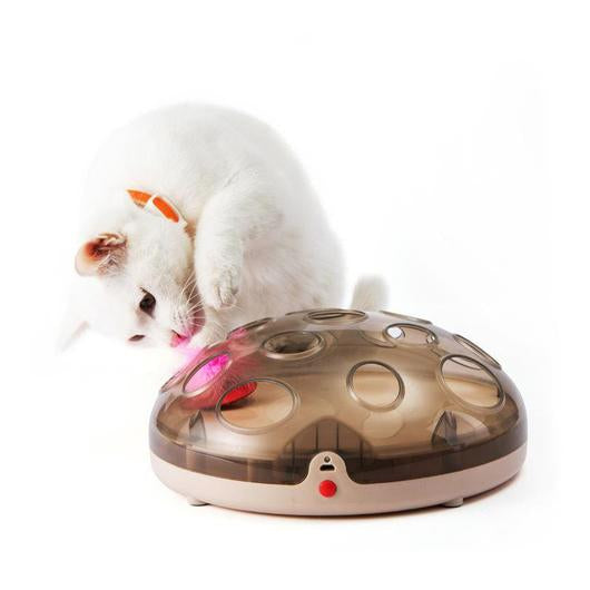 6091596662522picjpg Urban Pet Play Ltd | AwardWinning Pet Care Pet Shop