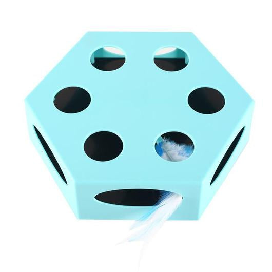 6131596662526picjpg Urban Pet Play Ltd | AwardWinning Pet Care Pet Shop