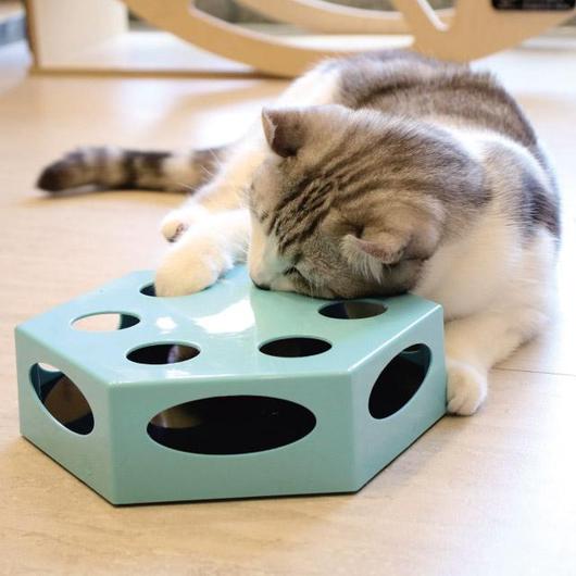 6141596662527picjpg Urban Pet Play Ltd | AwardWinning Pet Care Pet Shop