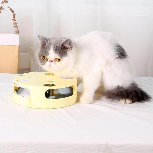 6151596662528picjpg Urban Pet Play Ltd | AwardWinning Pet Care Pet Shop