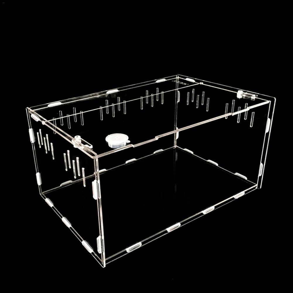 618104578384jpg Urban Pet Play Ltd | AwardWinning Pet Care Pet Shop